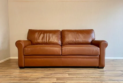 American Leather Sleeper