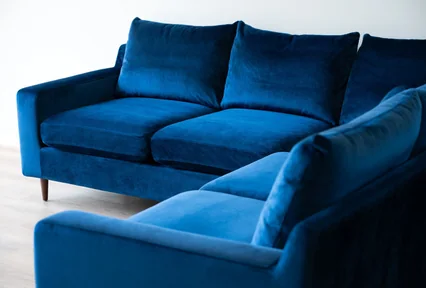 Interior Define Velvet Sectional