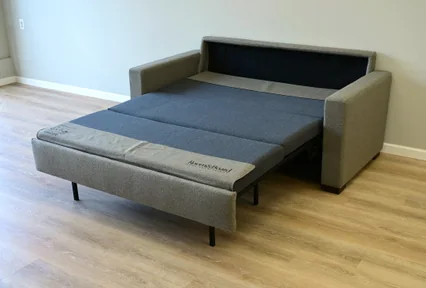 Room&Board + American Leather Sleeper