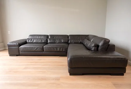 Roche Bobois Sectional